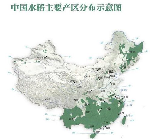中国水稻分布
